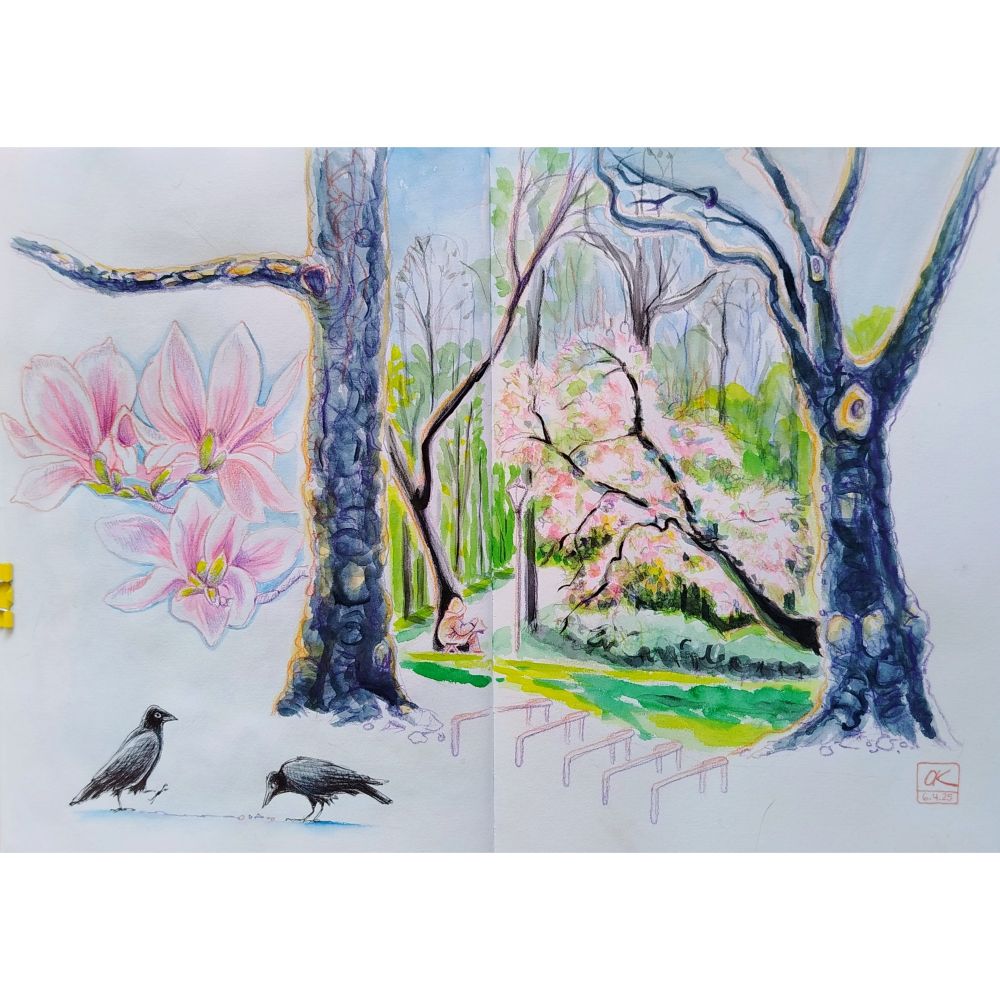 Doppelseite im Skizzenbuch mit einer schiefen Tulpenmagnolie zwischen zwwi Platanen. Dazwischen sitzt eine Sketcherin. Links große rosa Magnolienblüten. Unten zwei Krähen. 
