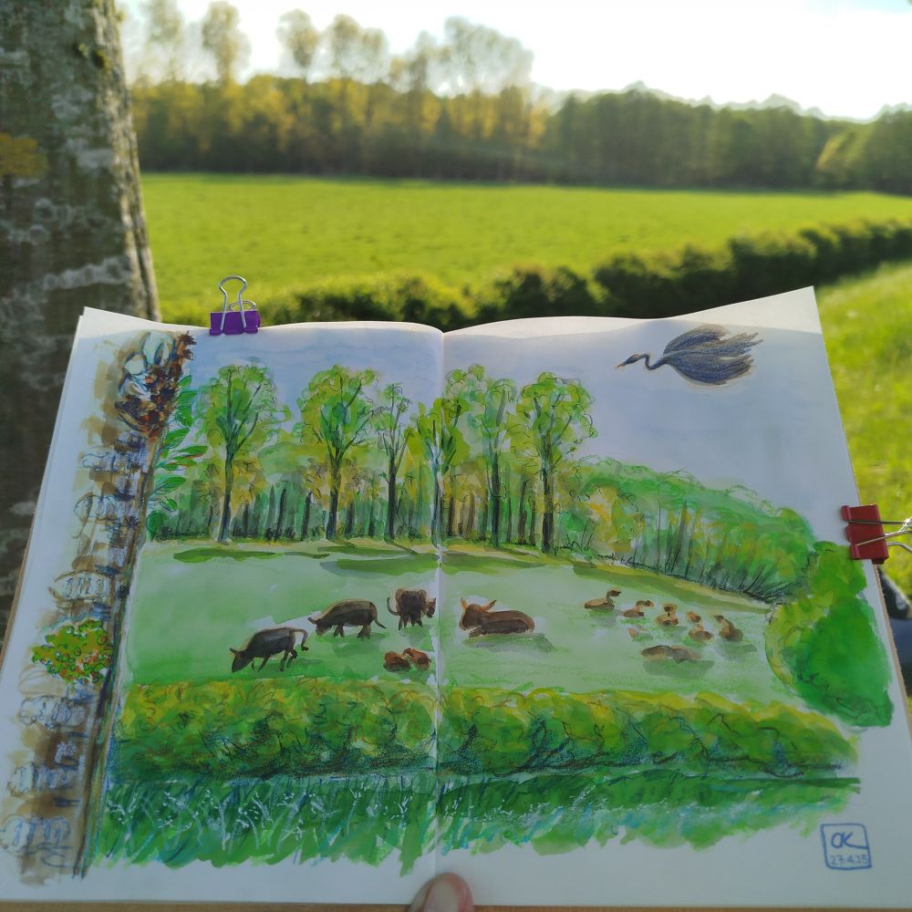 Doppelseite im Skizzenbuch mit einer Kuhweide im Sonnenlicht. 