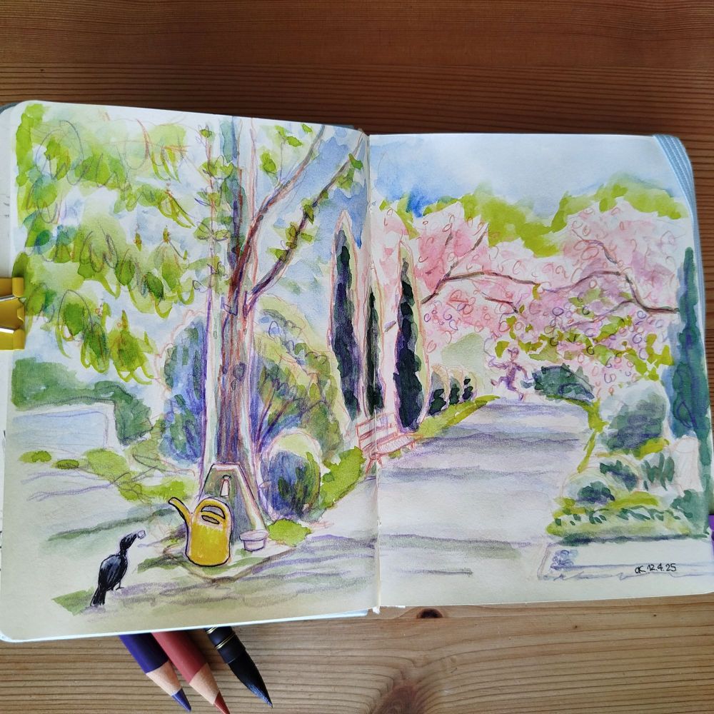 A double-page sketchbook featuring a watercolor sketch of a cemetery path. A crow carries a piece of bread toward a water spigot with a watering can and a small bowl of water. In the background, blooming cherry trees and a jogger wearing a baseball cap. The sun is shining.