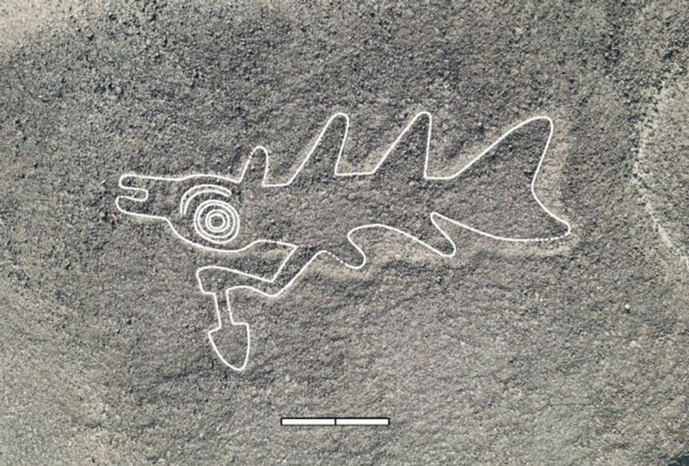 Messer schwingende Orcas und andere Figuren auf der Ebene von Nazca entdeckt