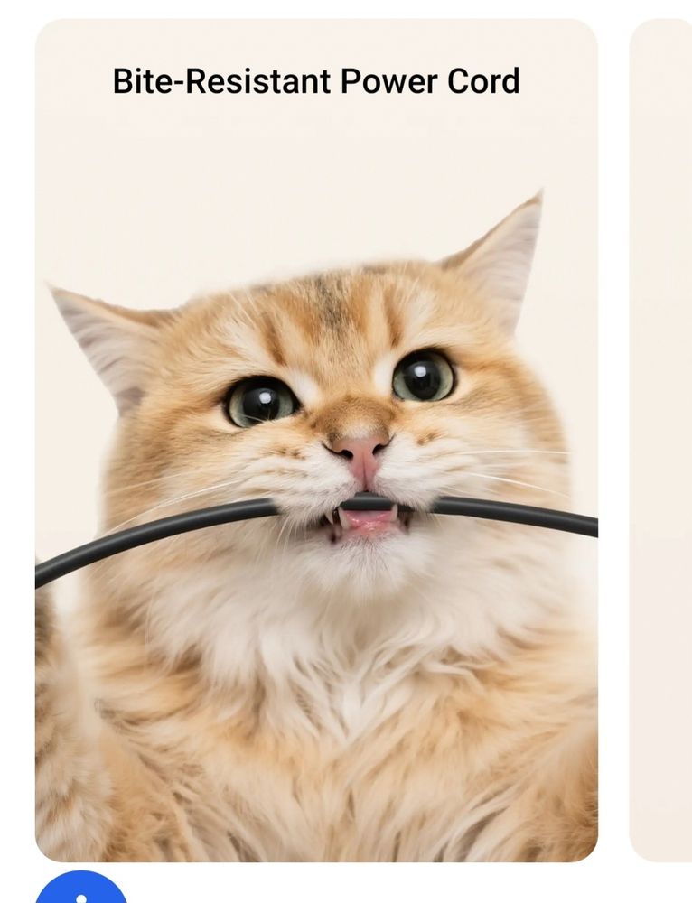 Photo of "bite resistant power cord" showing a cat attempting to chomp 