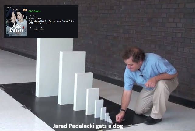 The domino meme - the first domino is "Jared Padalecki gets a dog" and the last one is the listing for Desire The Series. 