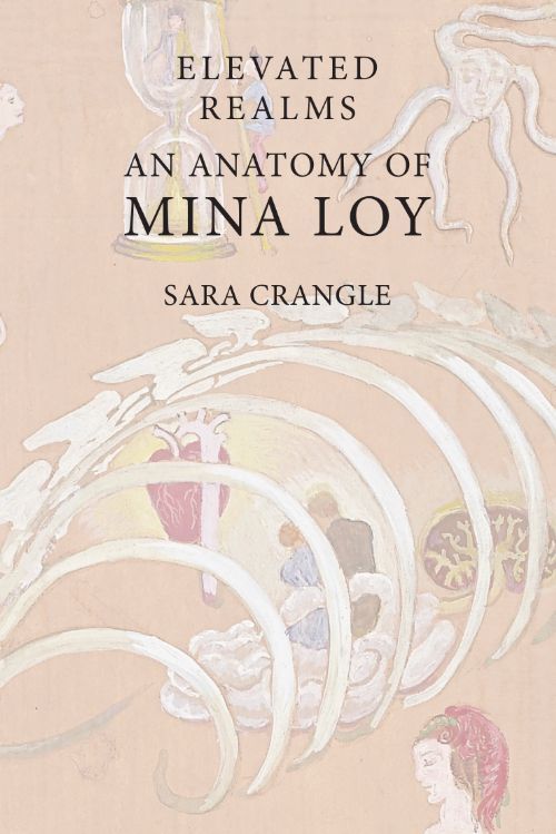 Elevated Realms book cover.