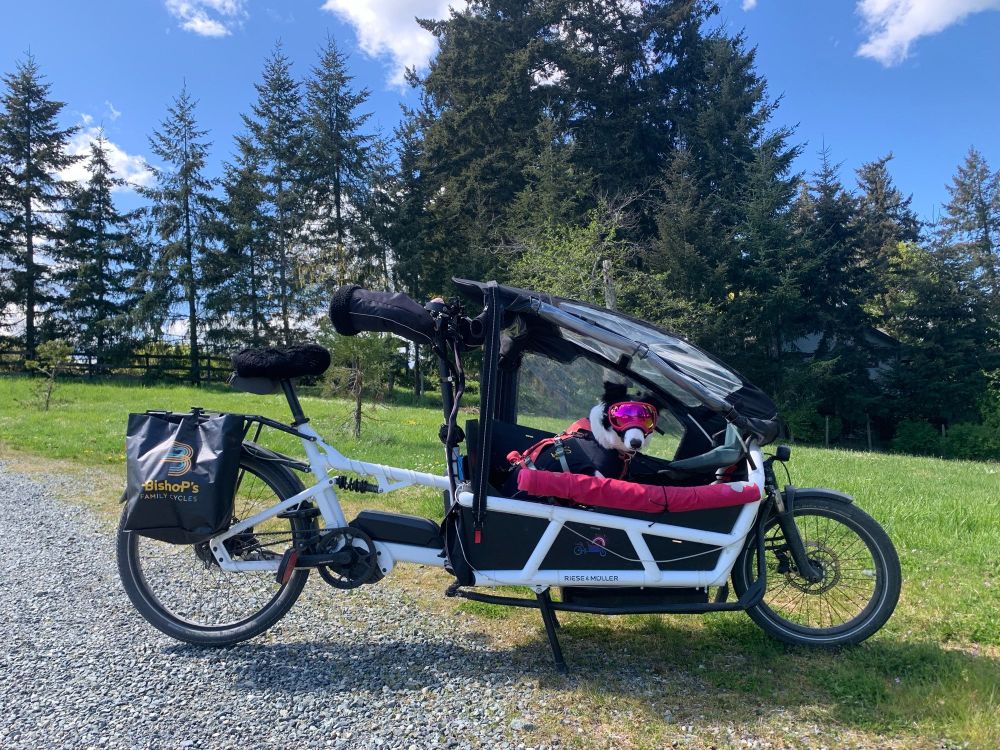 Bakfiets in a rural area, trees in the background on gravel, dog with glassed on is looking at the camera

Sarah Frumento's pup serious fit check

America, US