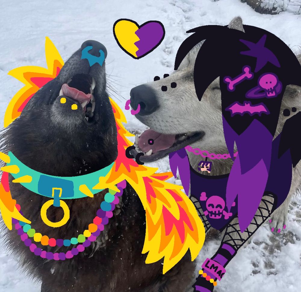 An image of two wolves in snow edited to be scenecore sparklefurs. One wolf is black and playfully thowing its head back, and the other is gray and smiling next to the other with its eyes closed. One is mostly purple and black themed and the other is more colorful with yellow, orange, and hot pink hair and a bright turquoise spiked collar.  They each have kandi in the others colors, and theres a heart above them that is half yellow and half purple.