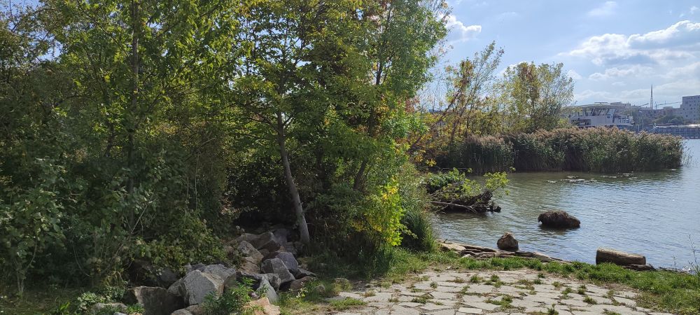 Bucht an der donauinsel