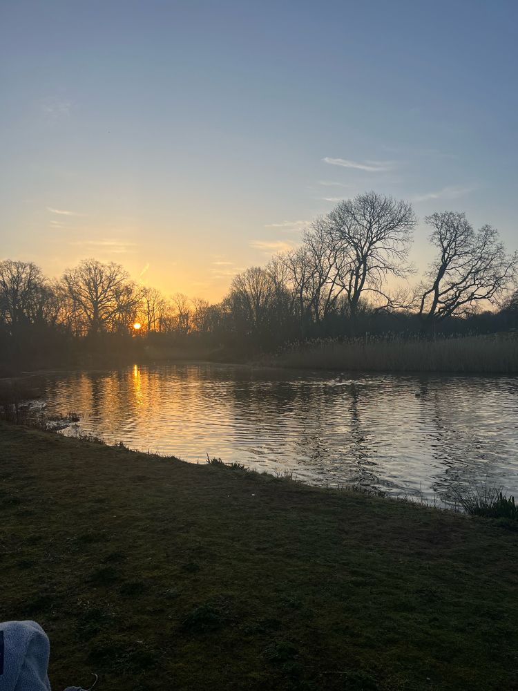 Beckenham lake the trees in shadow an orange sun rising at 6am.