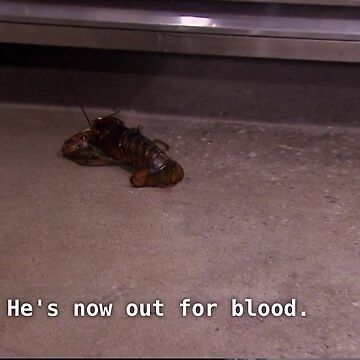 lobster on concrete with text below that says he’s now out for blood.