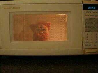 pink furby in an old microwave 