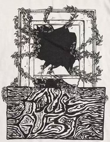 a broken window with vines coming out and the word HOUSEGUEST in the wood grain