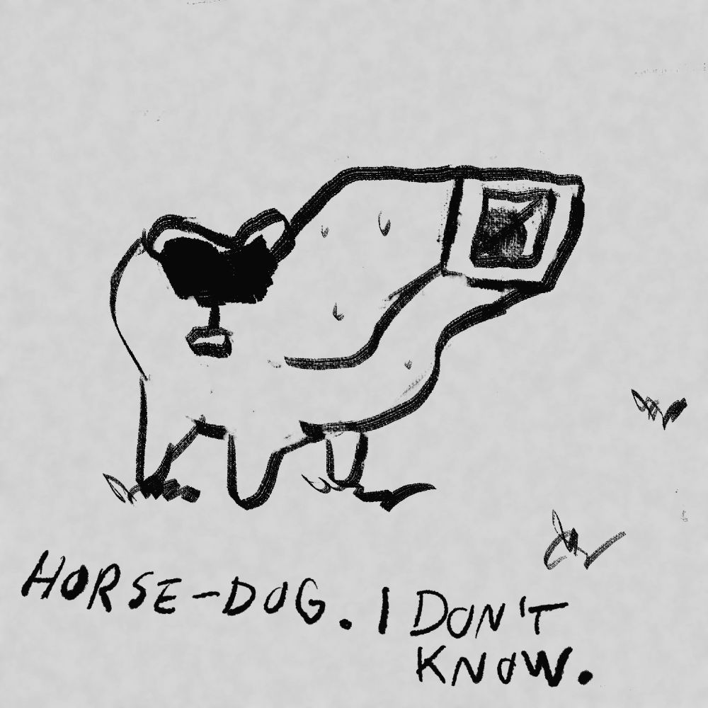 Closeup on boxy quadruped.

Text: Horse-dog. I don’t know.