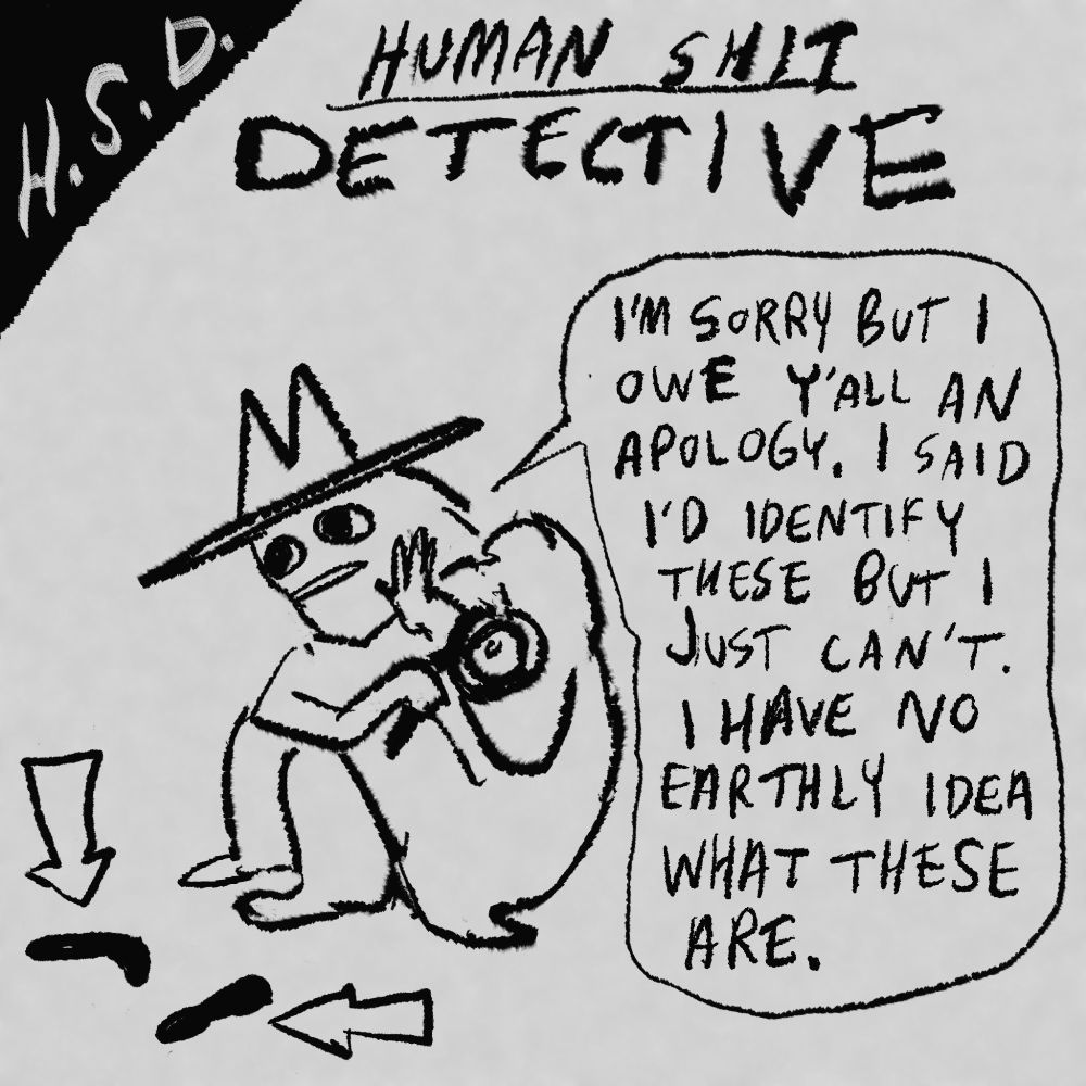 Header: HSD - Human Shit Detective

A dejected little guy in a trenchcoat and fedora sits hold in his magnifying glass by two dark lumps. Arrows are pointing to the lumps for emphasis. He says: “I’m sorry but I owe y’all an apology. I said I’d identify these but I just can’t. I have no earthly idea what these are.”