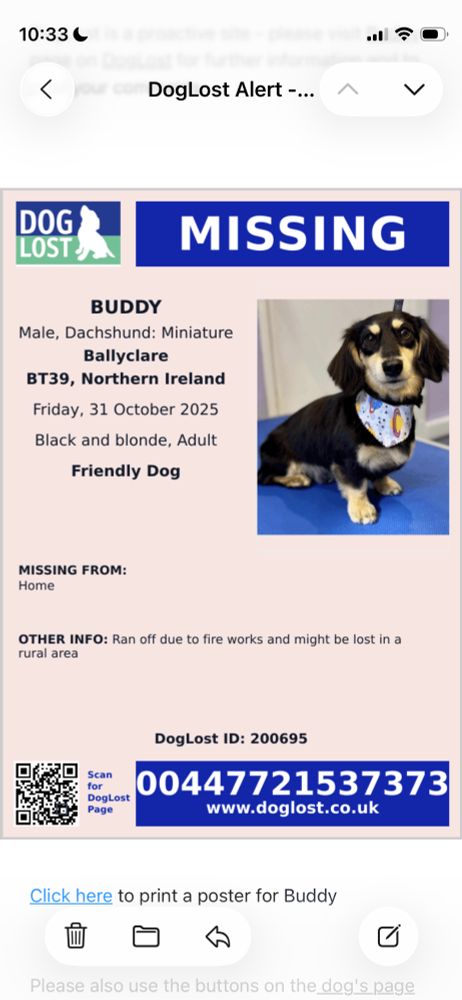 A dog has been lost in the Ballyclare area and we need your help!

Dog Details: - Dog ID: 200695 - Name: Buddy - Breed: Dachshund: Miniature - Gender: Male - Area: Ballyclare - Postcode: BT39 - Date Missing: 31/10/2025 Special Conditions: Friendly Dog