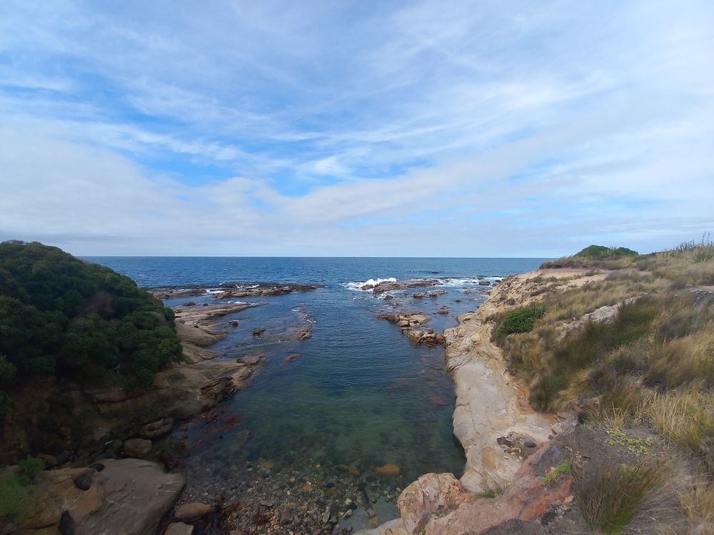 More seals (wideview)