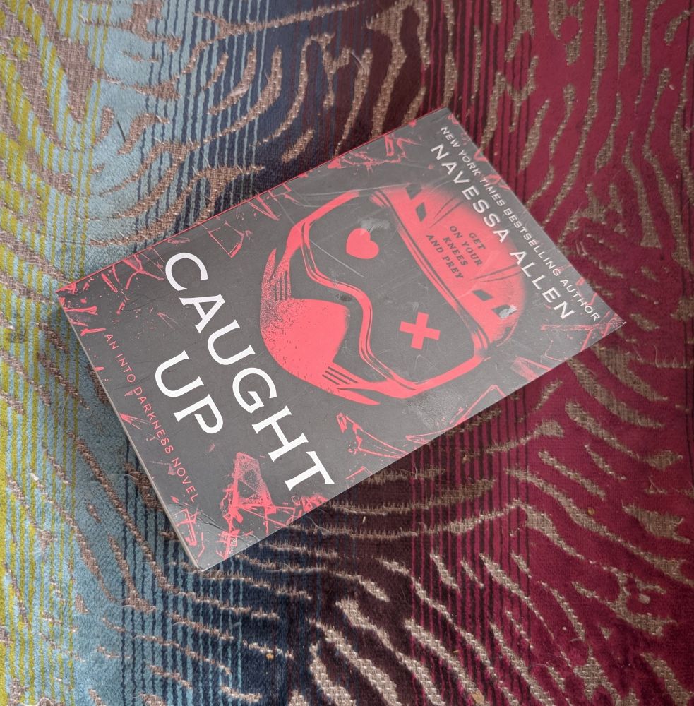 Picture of the paperback Caught Up by Navessa Allen
