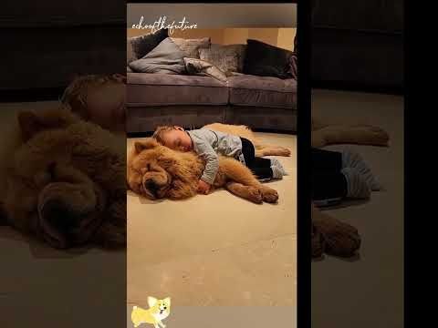 Aww this is adorable 🥰. #dogs&babies #cutieee