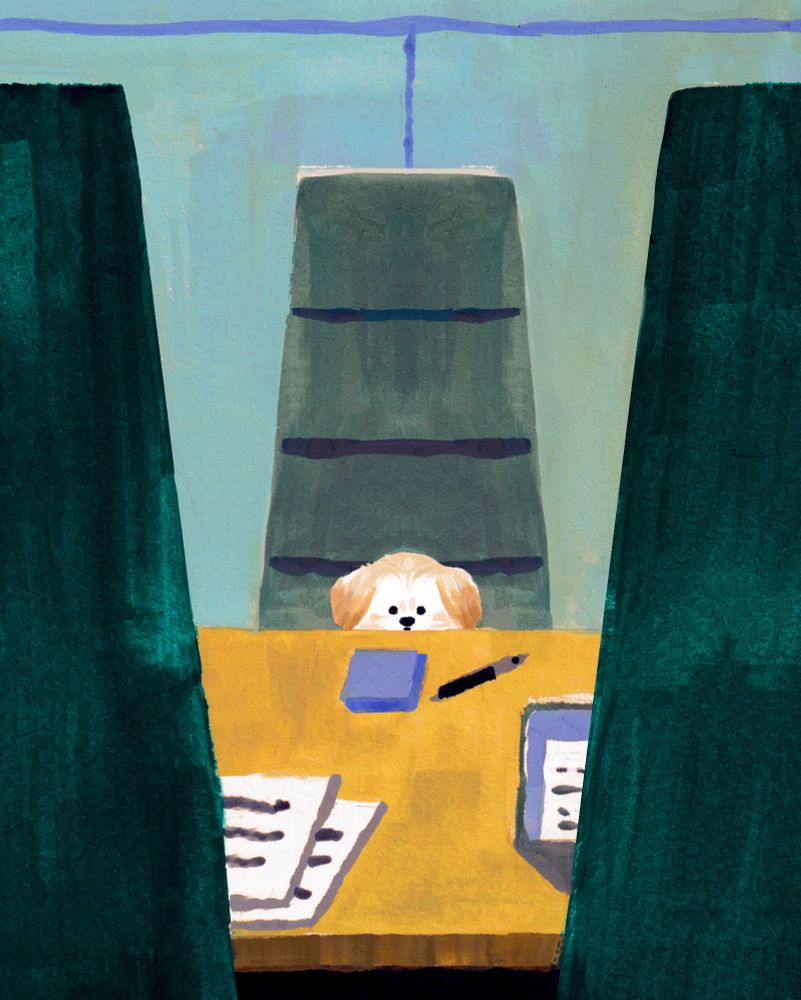 A small tan and white dog sitting in a big office chair, framed by big office chairs in the foreground, on the other side of a conference table. They're in a corporate meeting room. On the desk are papers, a laptop, some blue post its and a pen. The dog has a blank look, as though they have no idea how they got here or what to do. The overall colors are teal and and ochre. 