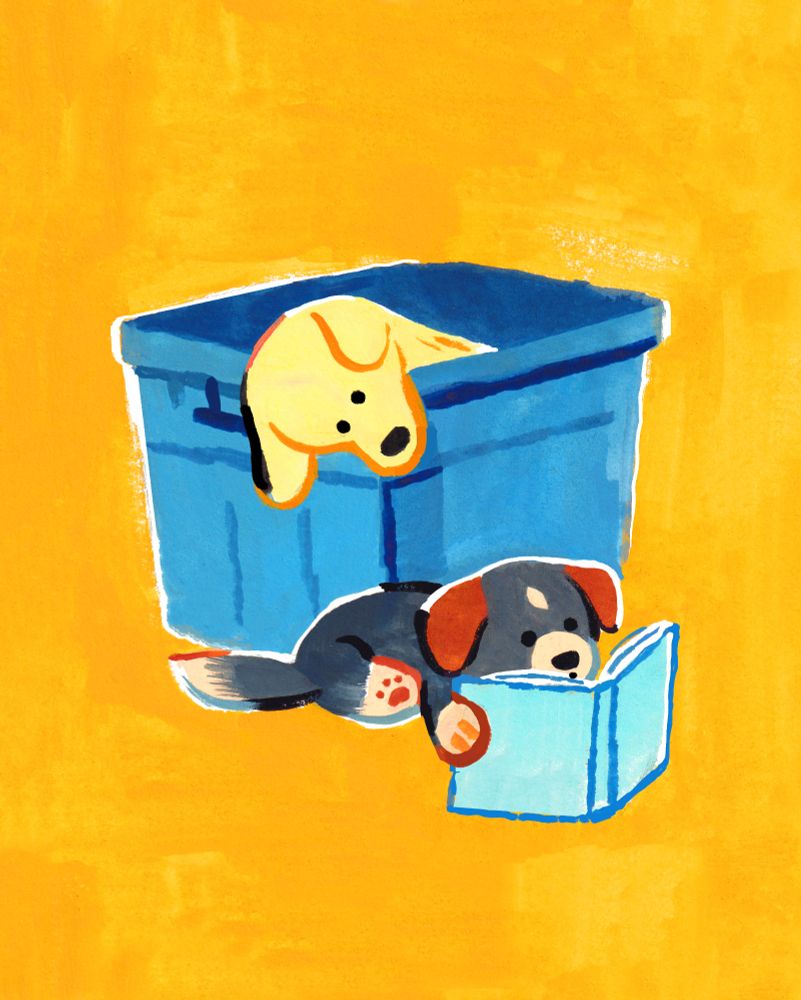 A dark grey puppy (Leap) with floppy brown ears, cream paws, tail, snoot, and a white spot on her forehead is reading a light blue book. She has an intrigued look on her face. Behind her is a floppy eared light yellow dog (Flame) in a big blue container. She's leaning her head out sideways to look at the book too. 
