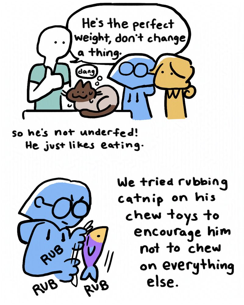 3- A vet tells Juliana and Olivia (yellow person with hair in a low bun wearing a collared shirt) "He's the perfect weight, don't change a thing." Brioche sweating, thinks "dang" Text below reds " So he's not underfed! He just likes eating."
4- Text: "We tried rubbing catnip on his chew toys to encourage him not to chew on everything else." Juliana is scrubbing a fish-shaped toy with cat nip. sfx: "RUB RUB RUB"