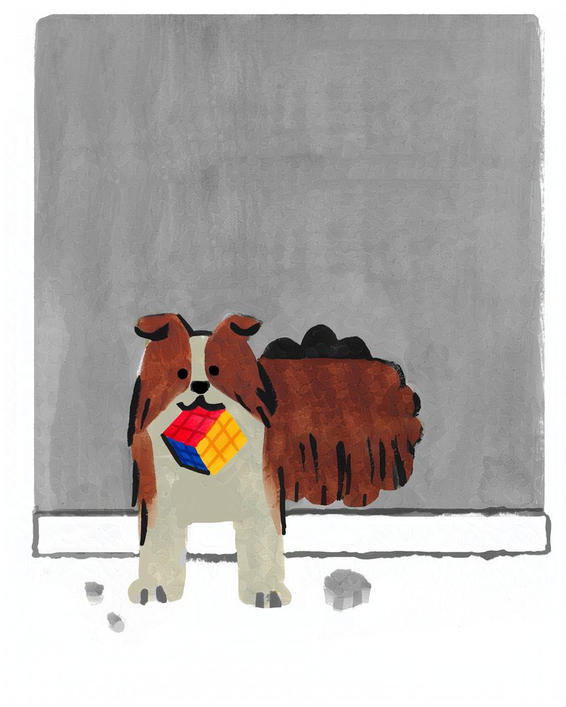 A fluffy brown border collie has chewed through a grey well. There are bits of debris on the ground. They're holding a solved rubik's cube in their mouth proudly, while standing half in, half out of the wall. Their expression seems to say 