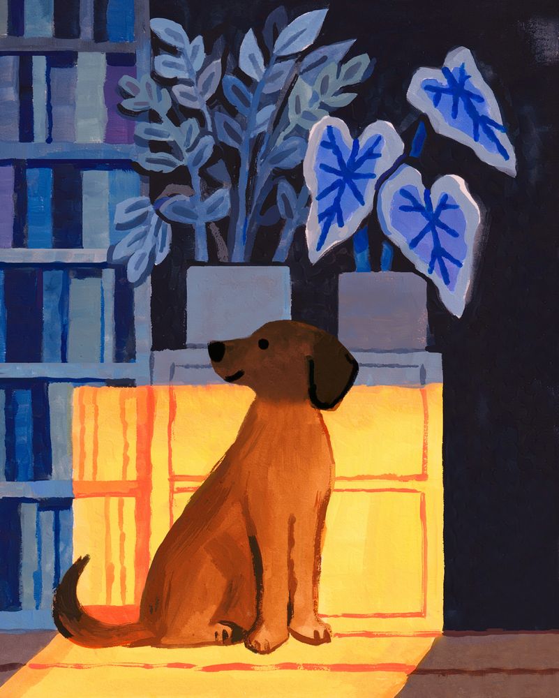 A medium sized brown hound dog, whose head is a darker shade than their body. They're sitting in front of a tall bookshelf, and a short cabinet with a zz plant and elephant ear plant on top. There's a big square of yellow light falling across the dog's body and the lower half of the furniture. The room behind is dark. Everything outside the yellow light is a monochromatic-ish blue. 