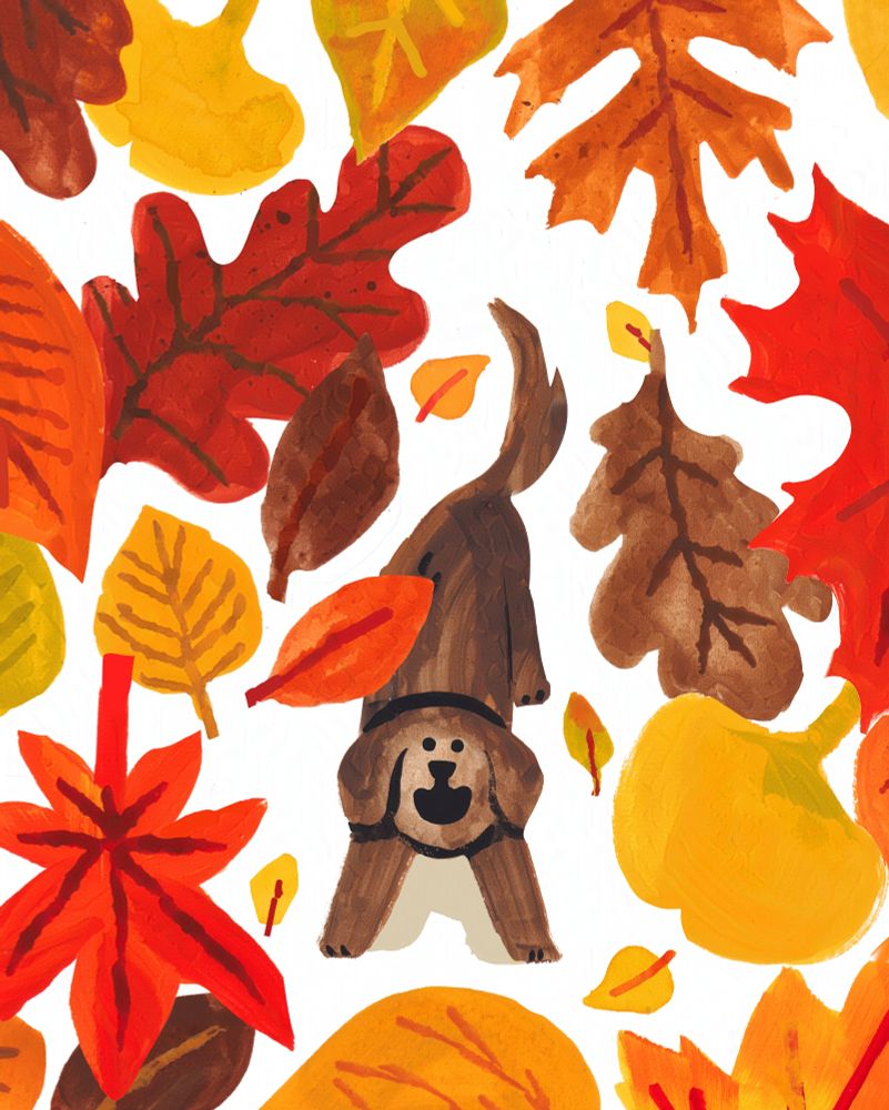 A brown floppy-eared dog looking up at a billion different falling autumn leaves with much enthusiasm. They're all different shades of yellow, brown, red, and orange. There's an unrealistic amount of different tree species represented. 