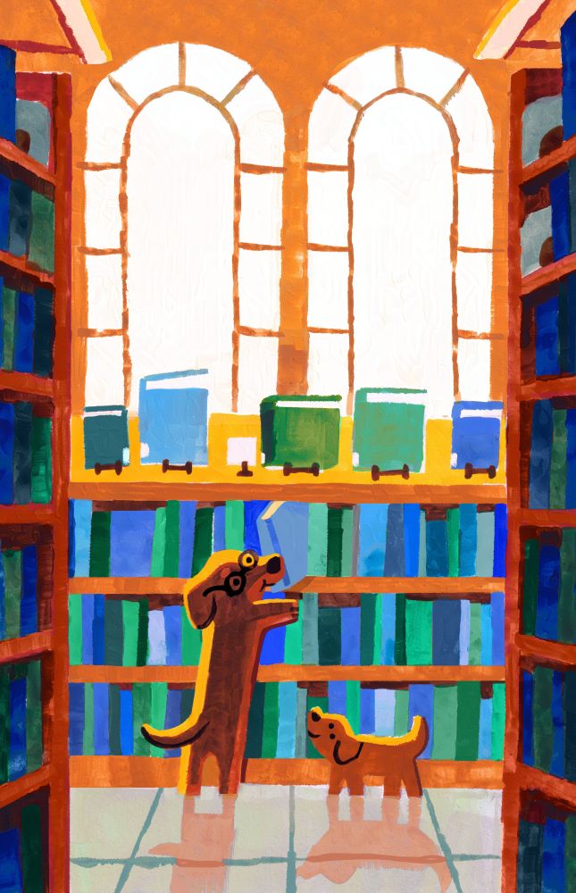 An adult dachshund wearing glasses helps grab a book from a "tall" shelf for a dachshund puppy in a library. The are two big arched windows in the bg, and big wood bookshelves framing the scene.