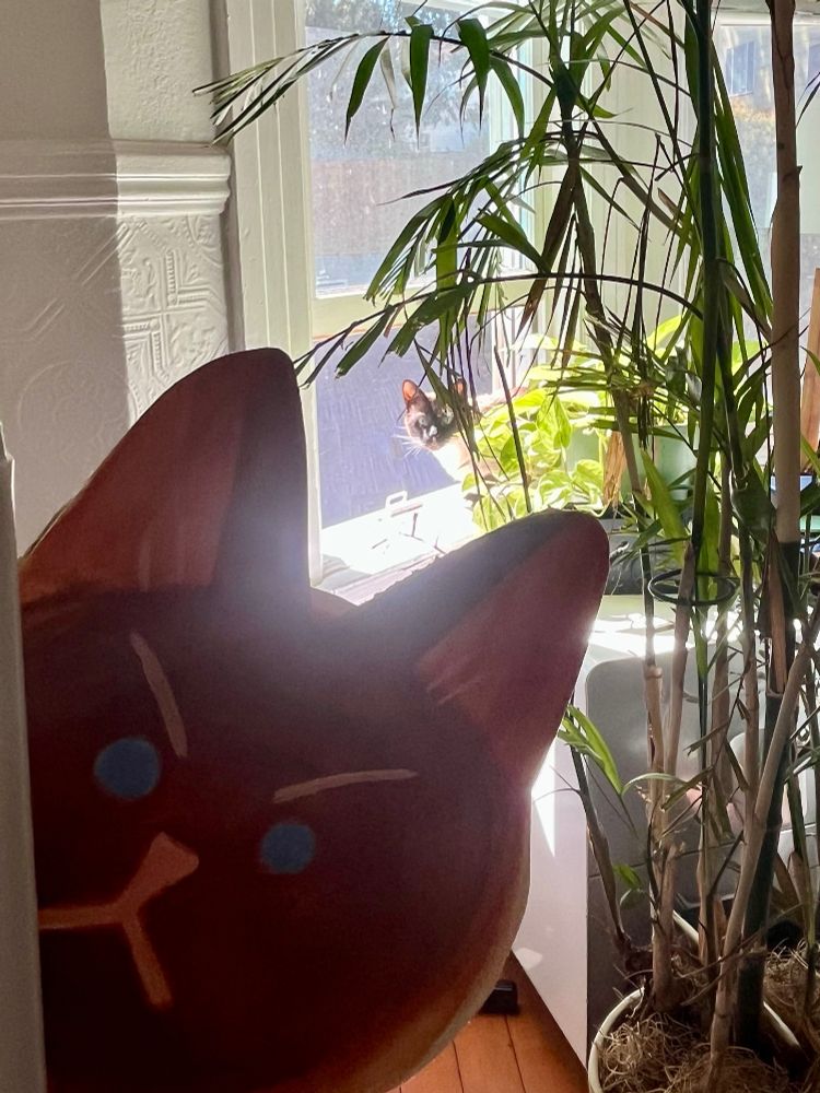 In the foreground a cut out sign of a blue-eyed grumpy looking siamese cat (Brioche) is peeking around a wall. Behind it in the background, a siamese cat (Brioche) is peeking out from behind several plants in a sunny window. 