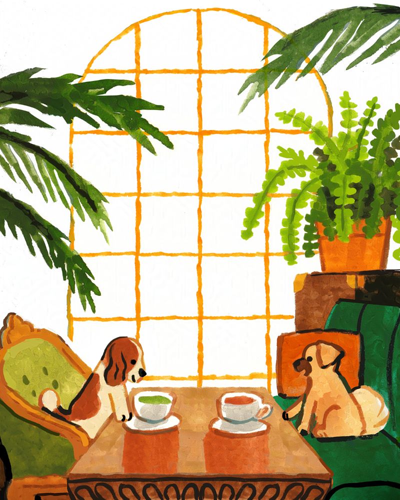 A little brown and white spaniel with fluffy ears is sitting across from a little tan floppy-eared dog, with dark snout and a fluffy tail. They're in a cafe with antique-looking furniture. They sit in a fancy green and gold chair on the left, and darker emerald sofa on the right. Above them are many palm fronds and a big Boston fern. In the background between them is a big gold arched window. The dog on the left is leaning onto the table to peer happily at their matcha latte. The dog on the right has one paw on the table with their mouth open, as though they're relaying all the exciting happenings in their life. They have ordered a latte, that will probably be room temp by the time they finish talking. 