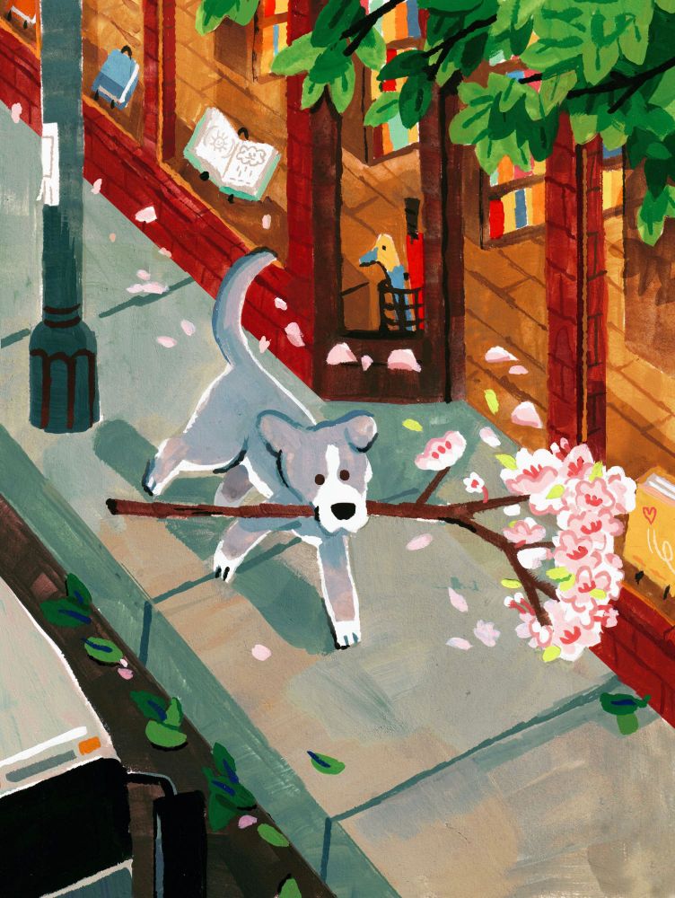 A painting of a grey and white pit bull carrying a big cherry blossom branch as they walk down a sidewalk. There's a street with a bus driving by on the left, and a red brick bookstore on the right. Green foliage is peaking in from the top right corner, signaling it may soon be summer. 
