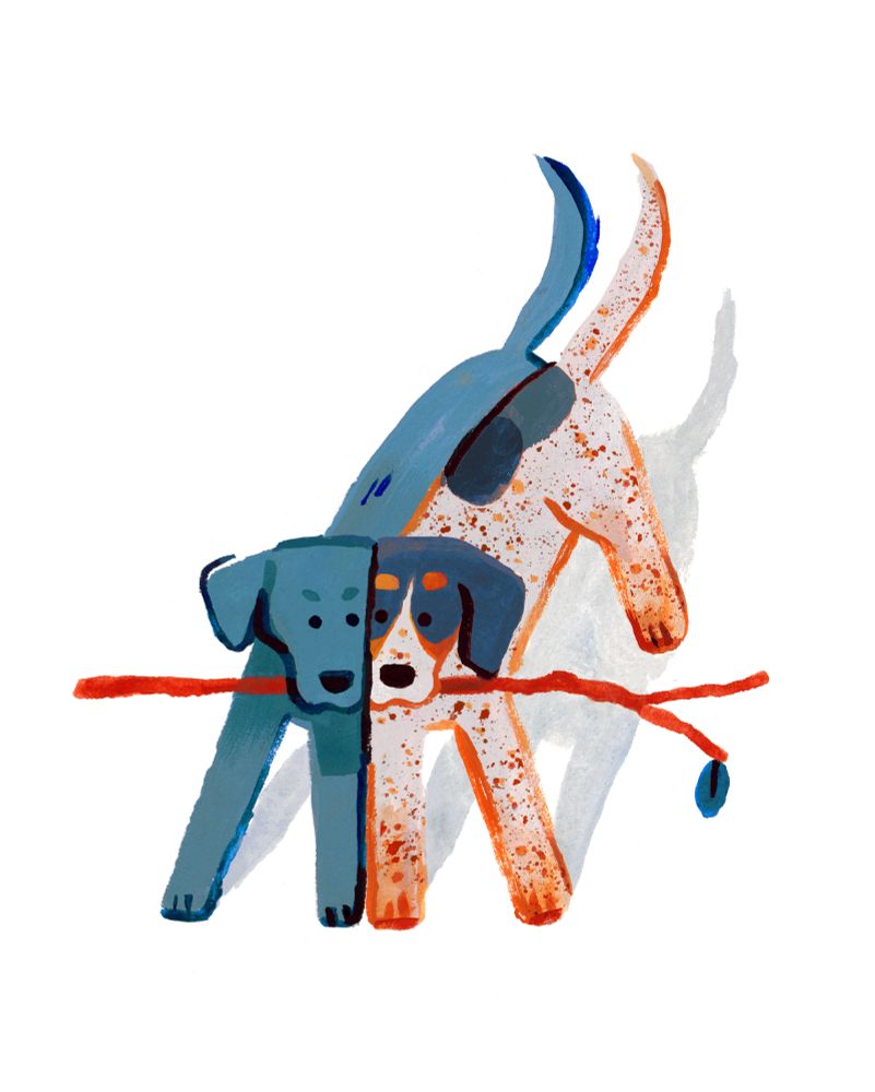 Painting of two dogs holding a single big stick. Their faces are smooshed together and they're looking at each other as though they don't want to share. The dog on the right is a white hound with many brown/orange speckles and pale orange paws. Their face has has darker orange and blue around the snout. They have two big blue spots on their back. The dog on the left is the same size, fully blue-grey with floppy ears. 