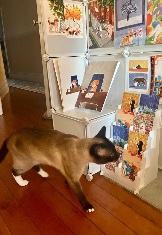 A photo of the cat now walking away towards the camera. He is continuing to search for something that interests him. 