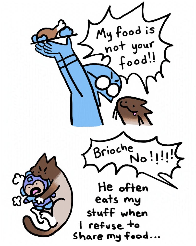 A panel-less comic with limited colors on a white bg. 
1- A siamese cat (Brioche) looking longingly/goofily at Juliana (a glasses wearing blue person) as she holds a plate with chicken above her head. Juliana shouts "My food is not your food!!"
2- Brioche is chewing on an alarmed Megaman plush while someone shouts "Brioche No!!!!!" Text underneath reads "He often eats my stuff when I refused to share my food.