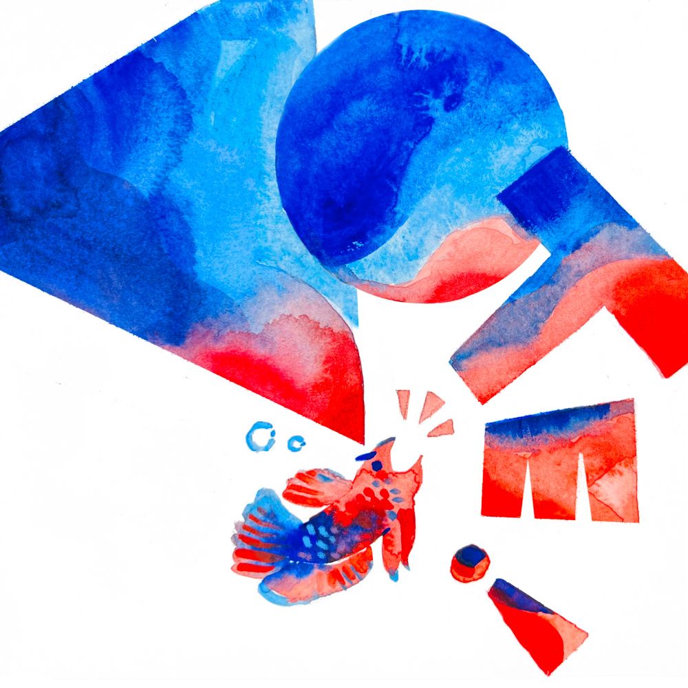 A little betta fish with angry eyebrows yelling VOTE! The letters and fish are red and blue watercolor.