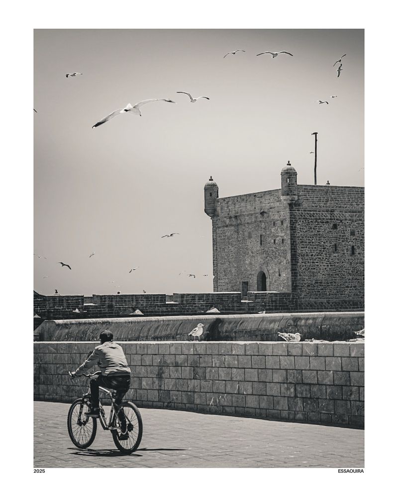 A black and white photo of a lone cyclist riding slowly along the seaside ramparts of Essaouira, Morocco. The scene is calm and minimalist, with seagulls flying in the sky and soft light casting shadows on the pavement. The mood is peaceful and introspective, evoking a quiet, timeless moment.