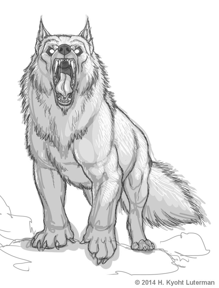 The following series of images are sketches of wargs; fictional, monstrous wolves. I draw mine with stubby hands instead of paws, and they're overall stockier and more muscley in build than a regular wolf. They have large fangs and very pointy ears