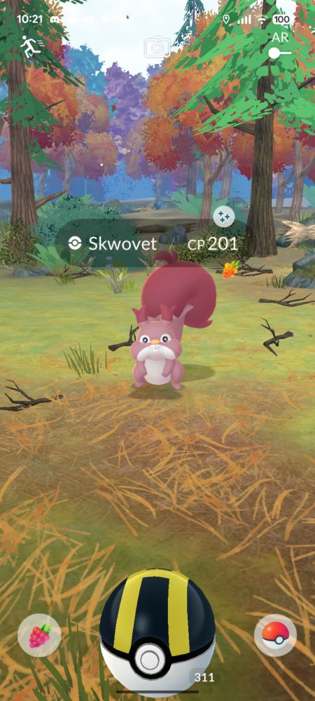 Pokemon go screen cap of a shiny Skwovet. It's a reddish squirrel.