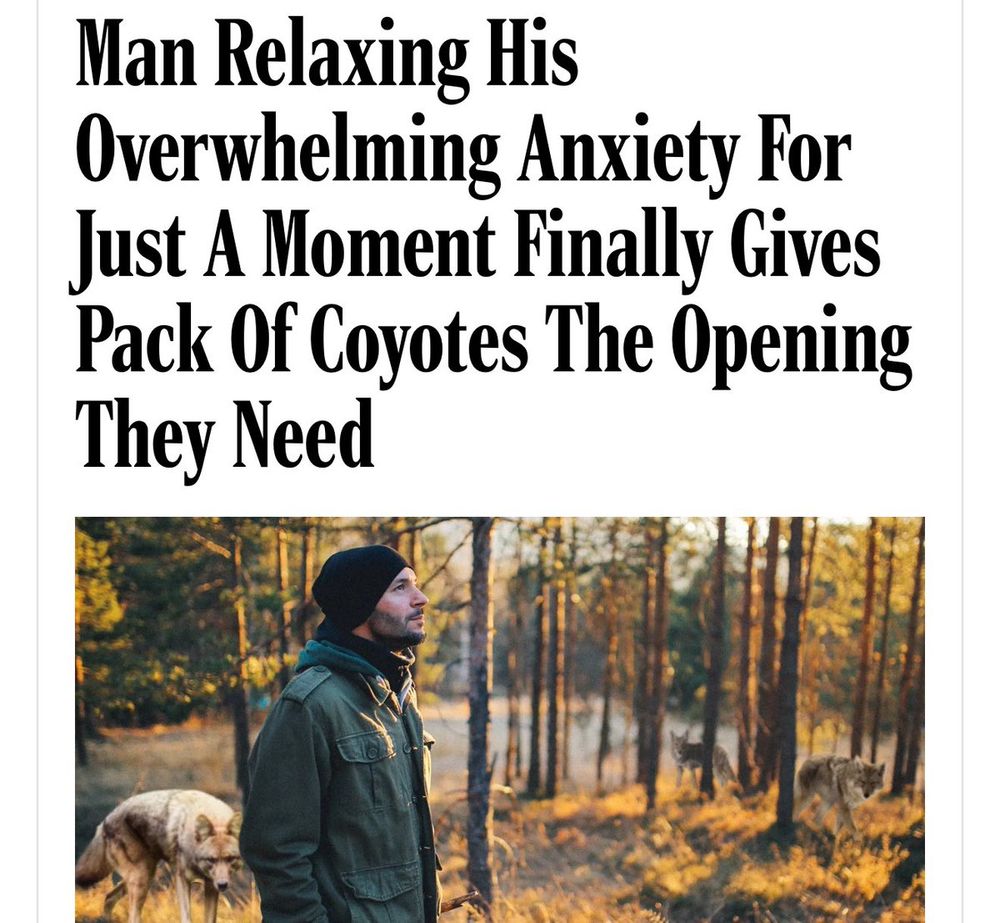 A screenshot of an Onion headline, which reads: Man relaxing his overwhelming anxiety for just a moment finally gives pack of coyotes the opening they need. The man, dressed in a jacket and knitted hat, stands in a sun-dappled forest and is staring upwrads. He has not yet noticed multiple coyotes in the trees, who are watching him