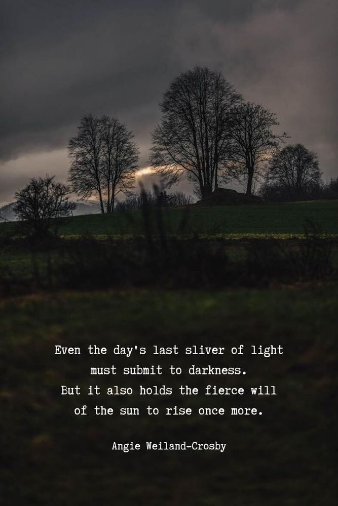 A photo of a dark sky, field, trees and sun setting. Quote reads:

Even the day's last sliver of light must submit to darkness.
But it also holds the fierce will of the sun to rise once more.
Angie Weiland-Crosby.