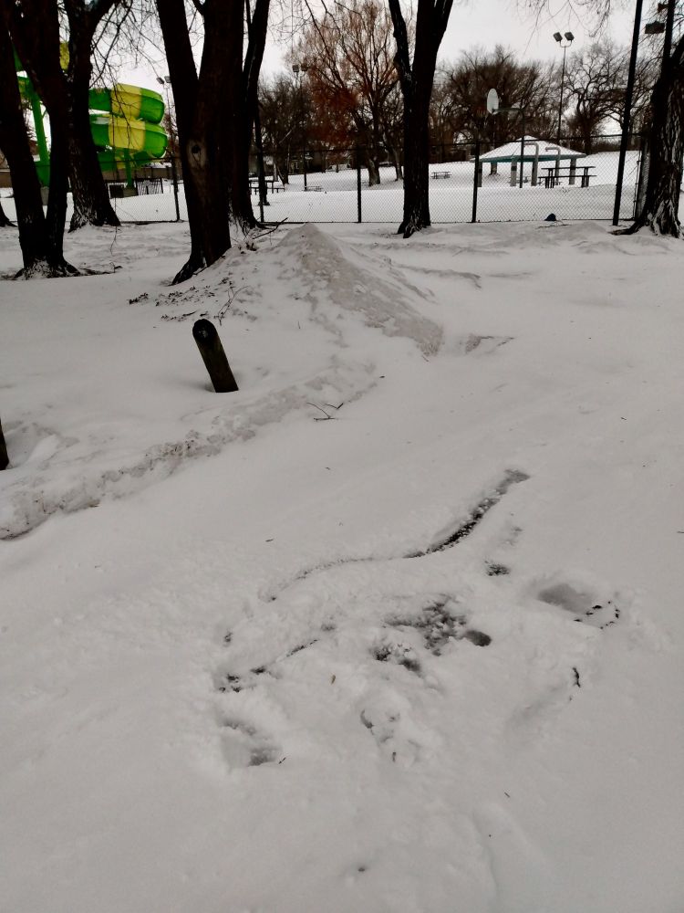 slide mark and vaguely human shaped impression on snow covered ice where author fell. 