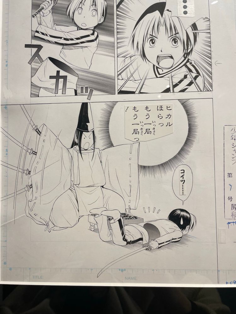 小畑先生にしては珍しくホワイトがたくさん入ったかわいい佐為