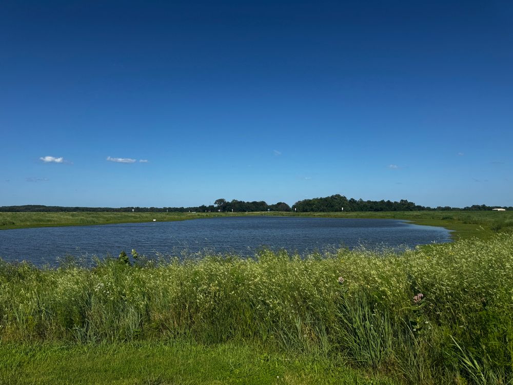 Picture looking out over a marsh, with tall grasses in the foreground. There’s and expanse of water, then more marsh grasses and a stand of trees in the background. Taken June 2025 at Marais des Cygnes in Kansas. On the distance of this photo is the location of the Marais des Cygnes Massacre, the last violent act of Bloody Kansas. 