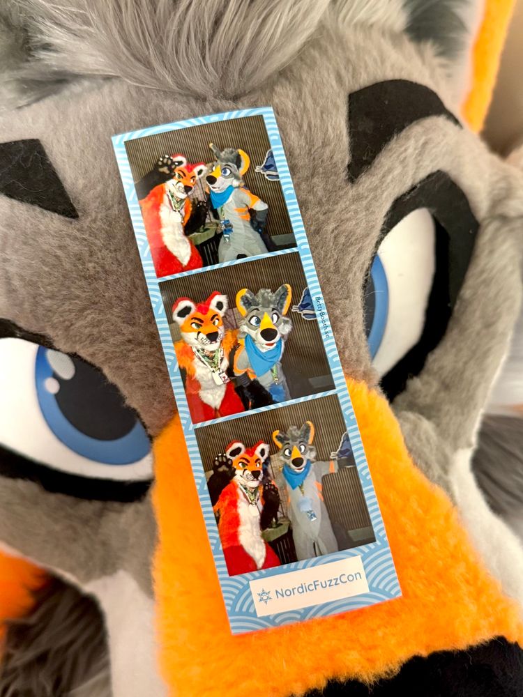 a photo strip print, with two fursuiters striking some silly poses in front of an automatic camera