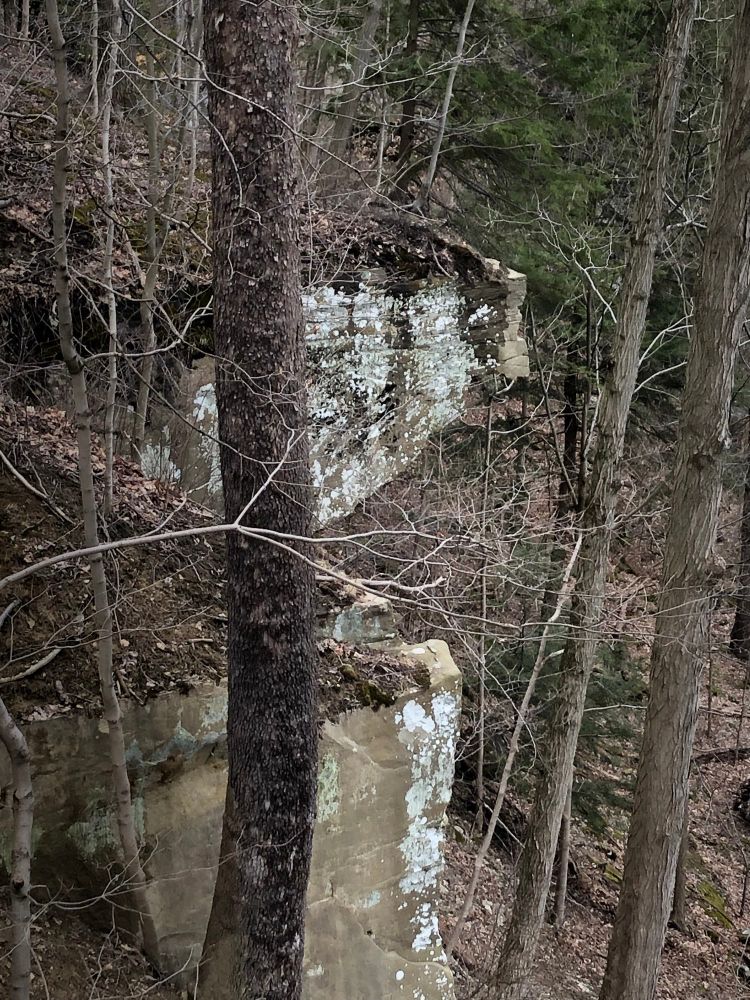 Lichen and moss on a massive rock cliff in wintery tree trunks above a river - Cuyahoga Valley National Park