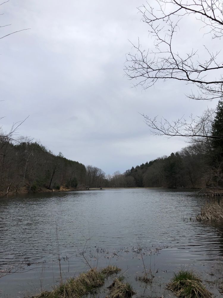 Forest lake on a cloudy early spring day