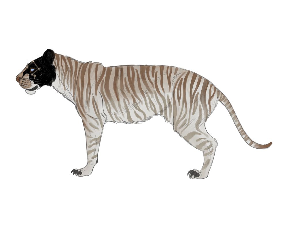 Side full body profile of neptuneii’s character Umbra. 

Most of the body is tan and white tones. 

Half the face is solid black with a starry constellation patterning / sparkle effects. 

