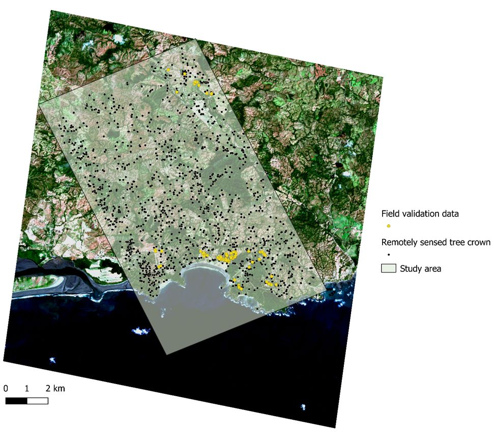 A map of tree crowns in southwestern Panama, showing satellite imagery of a tropical landscape
