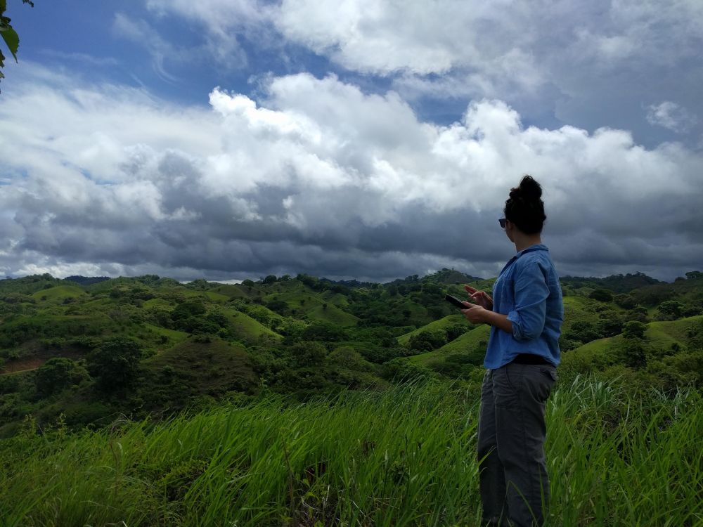 A scientist surveying trees in a pastoral landscape with a GPS unit