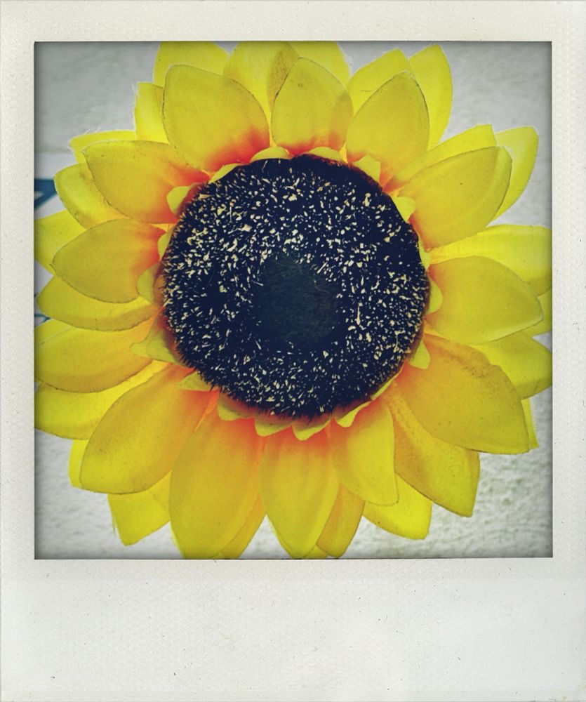 Plastic sunflower 