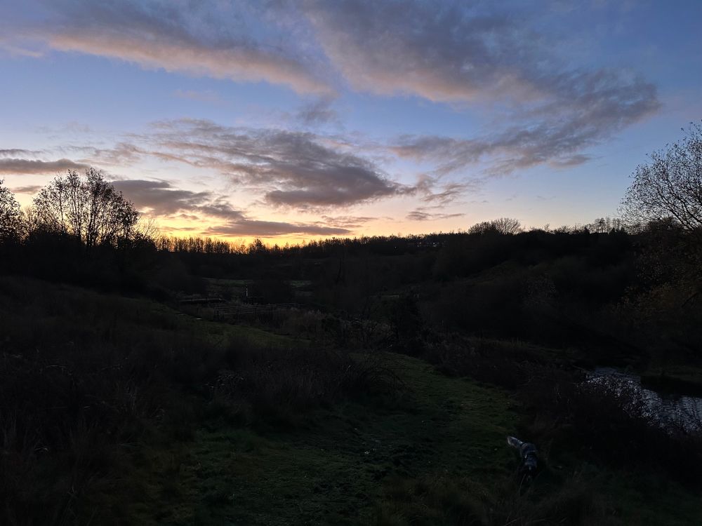 Dawn over a green tree lined valley, golden skies over the horizon and pink tinted clouds in the blue sky; in the dark a field beside an old mill lodge where a cocker spaniel is sauntering along